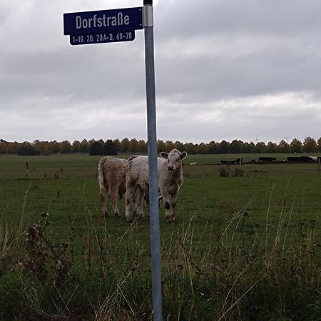 Moderne Barrierefreie Wohnung Auf Dem Land Bei Neuruppin Lichtenberg  المظهر الخارجي الصورة