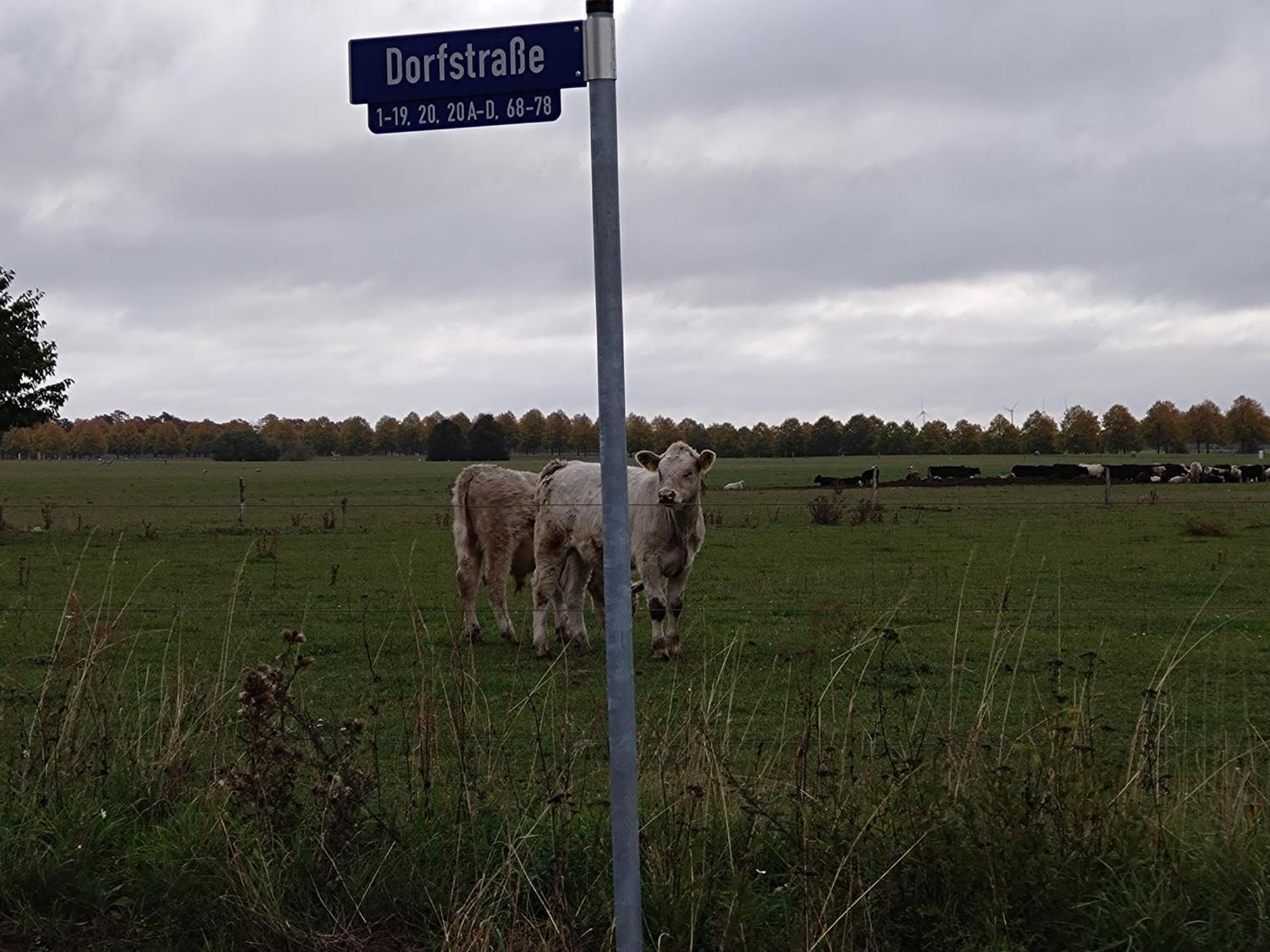 Moderne Barrierefreie Wohnung Auf Dem Land Bei Neuruppin Lichtenberg  المظهر الخارجي الصورة